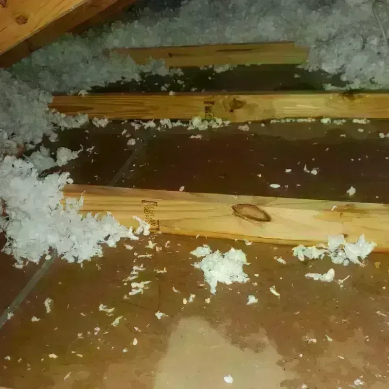 Attic Water Damage in Broadway, VA